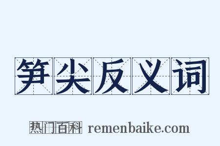 笋尖反义词是什么意思的图片